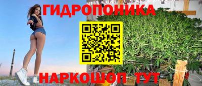 индика Рязань