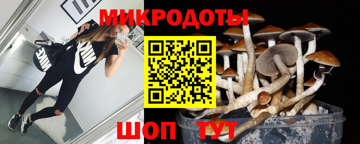 Псилоцибиновые грибы ЛСД  Галлюциногенные грибы MAGIC MUSHROOMS  Вход с VPN  Похвистнево 