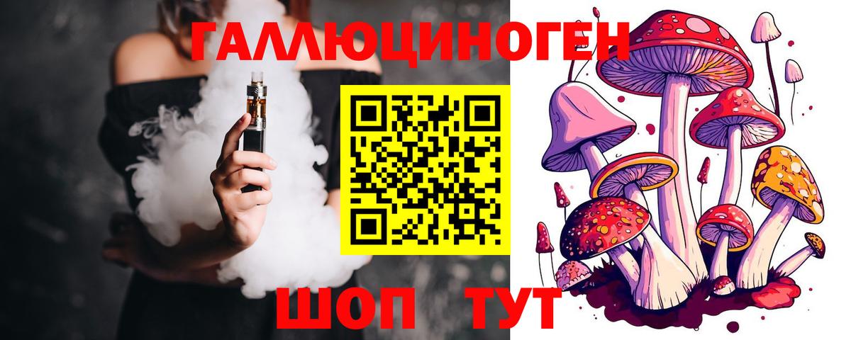 Галлюциногенные грибы Psilocybe Похвистнево